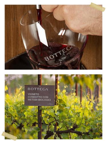 Bottega wineray