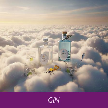 Gin
