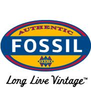 Fossil 化石