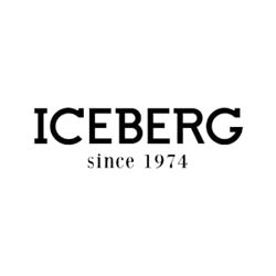 Iceberg