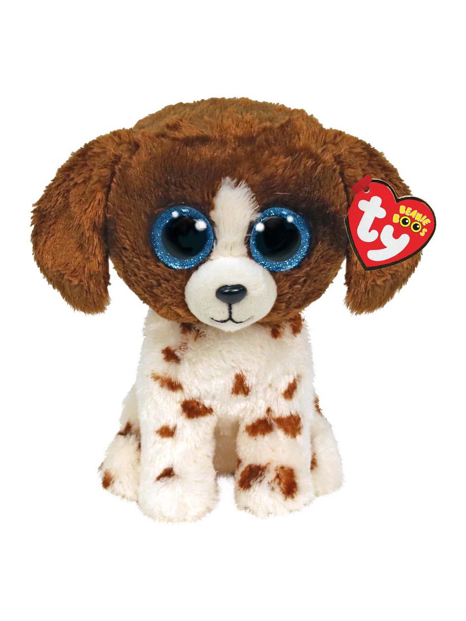 ty muddles dog
