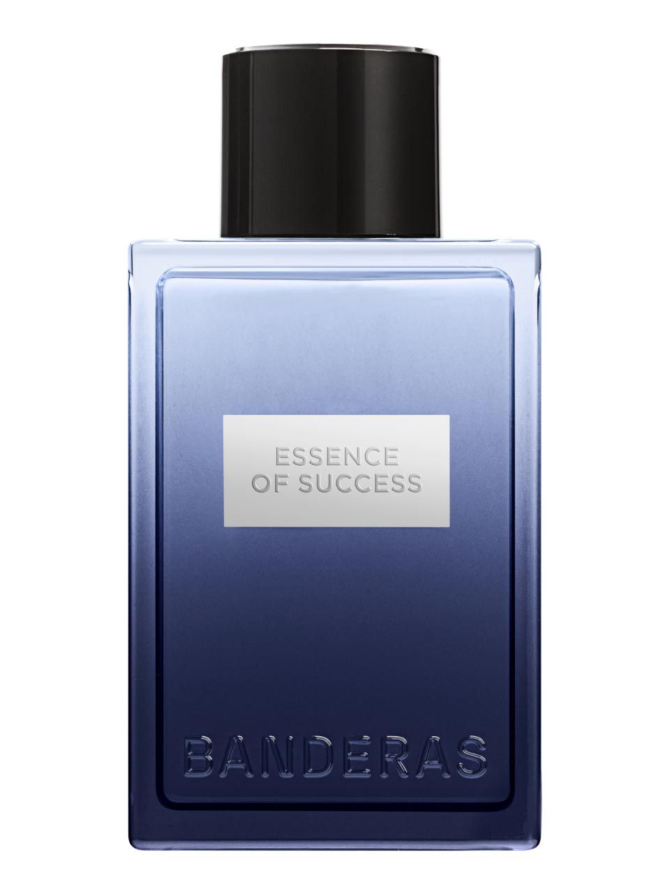 Antonio Banderas Essence of Success Eau de Toilette 100 ml