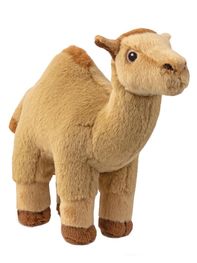 Aurora Kamel 30cm