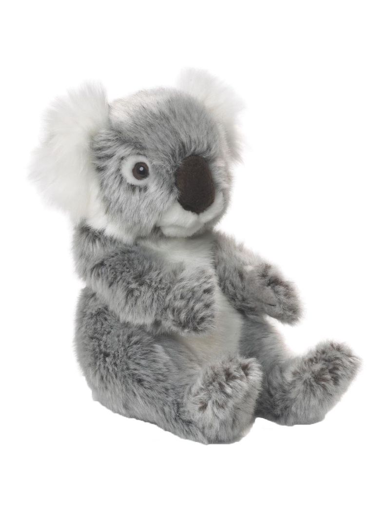 WWF, ECO Koala
