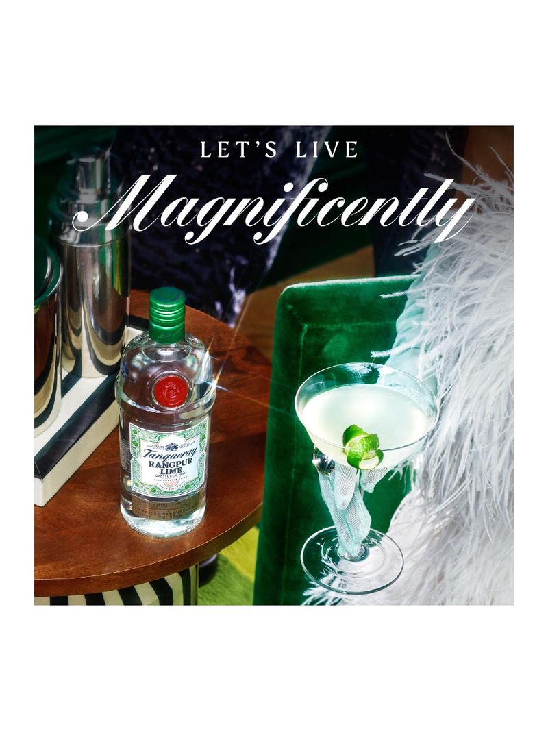 Tanqueray Rangpur Lime Gin  (41,3% vol., 1 Liter)