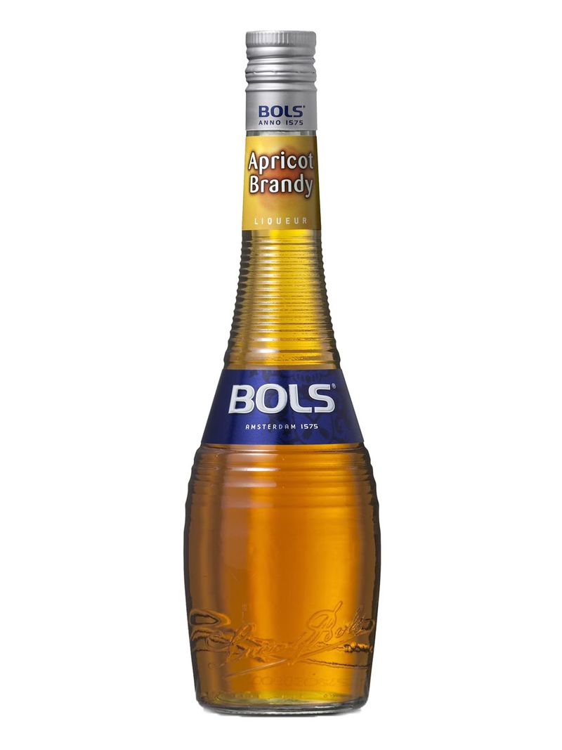 Bols Apricot Brandy Likör 24% 1L